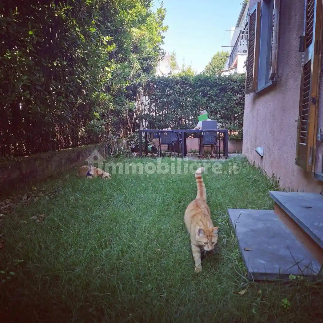 Appartamento in affitto a Forte dei Marmi