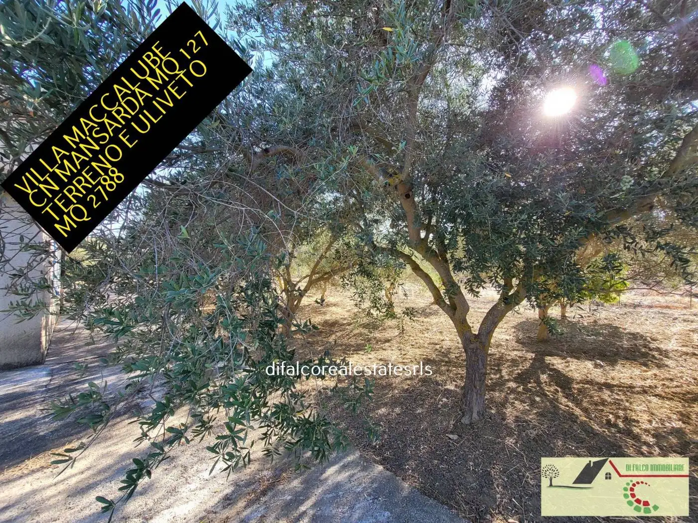 Villa unifamiliare via Maccalube, Aragona - foto 3