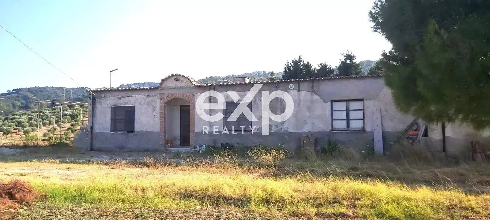 Villa unifamiliare via Gallo, 2, Davoli - foto 5