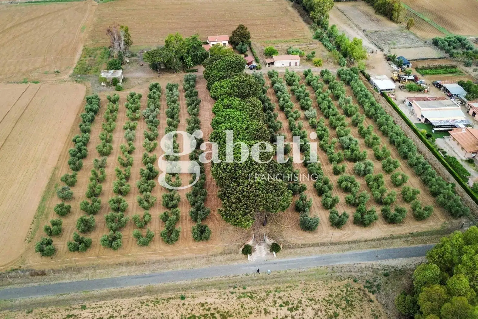 Villa in vendita a Roma