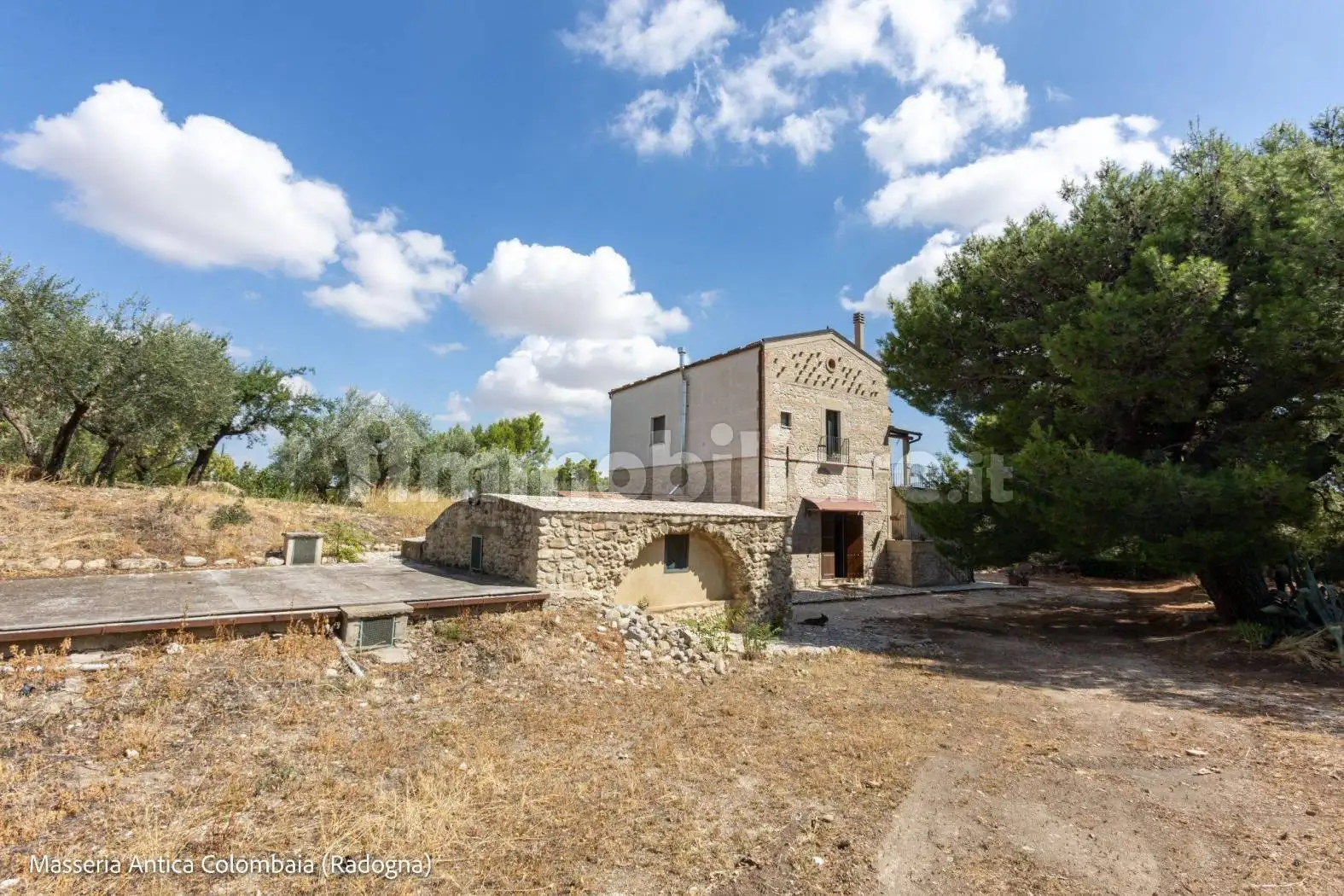 Masseria Strada Comunale Femmina Morta, Bovino - foto 3