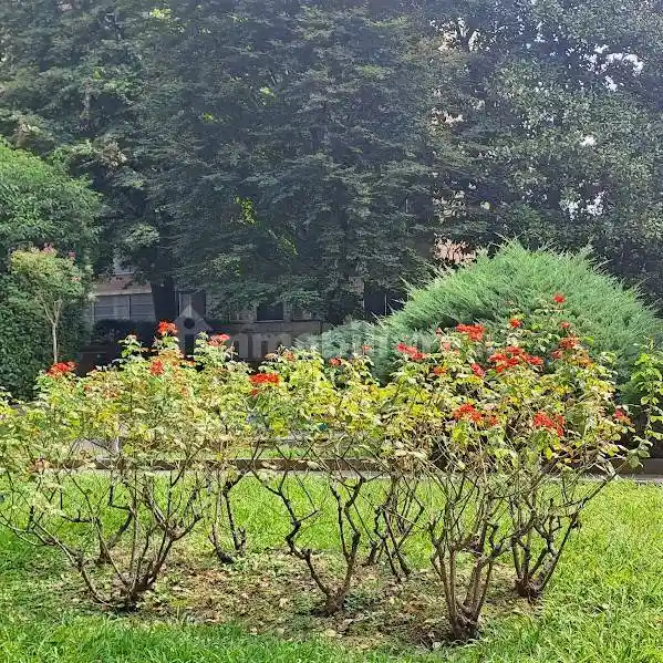 Bilocale ottimo stato, piano rialzato, Vincenzo Monti, Milano - foto 2