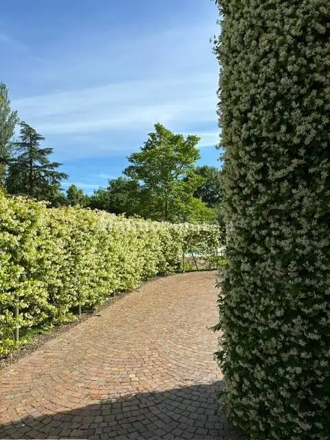 Villa unifamiliare Stradello Frignani, Santa Croce, Carpi - foto 4