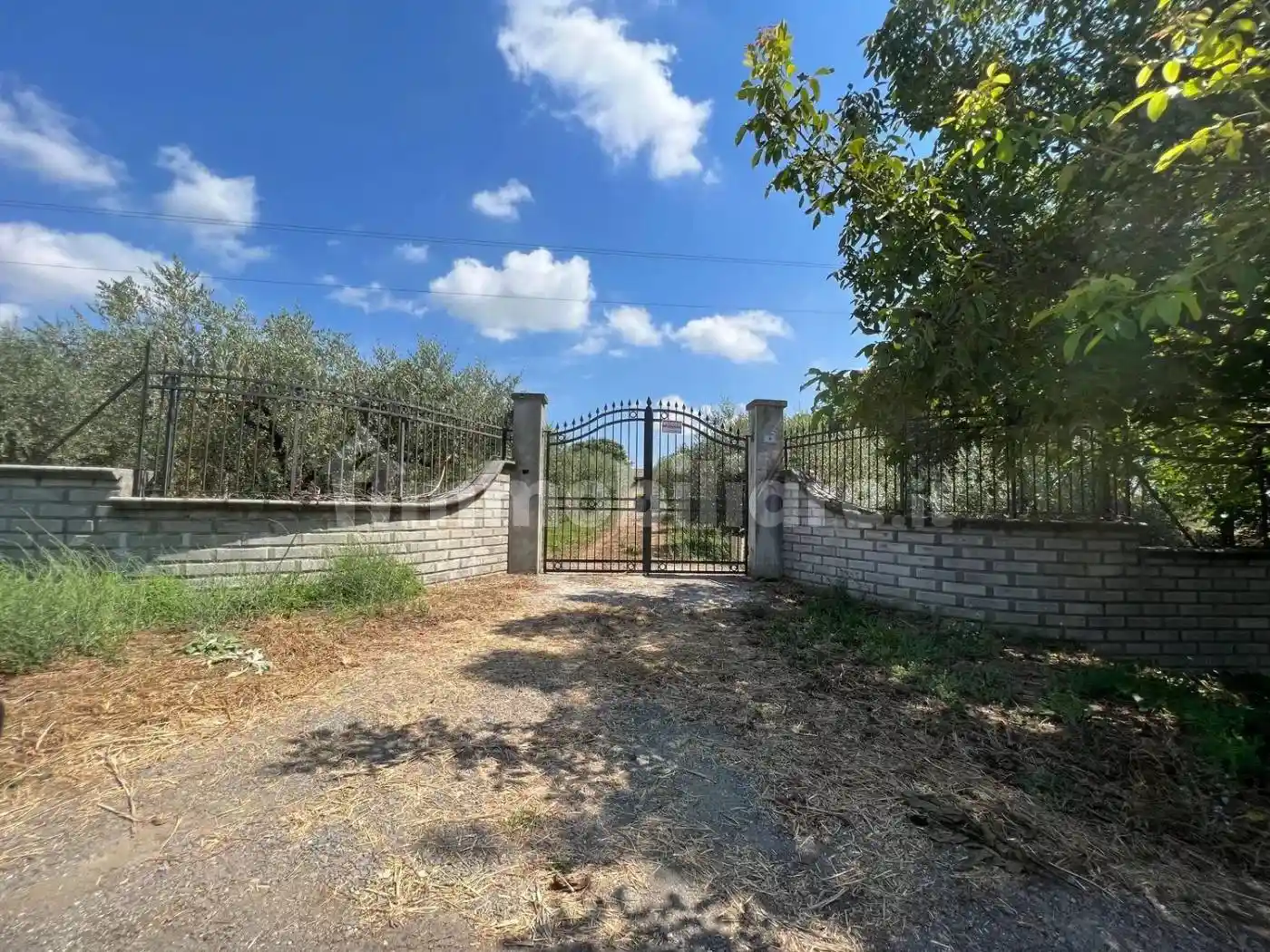 Rustico - Casale in vendita a San Cesareo