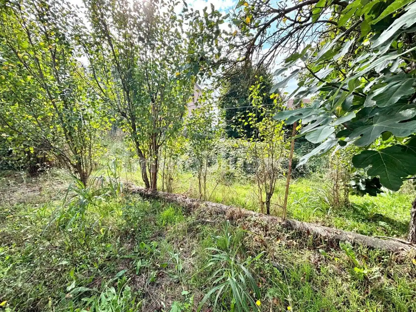 Terratetto unifamiliare via Castelspina 25, Castellazzo Bormida - foto 5