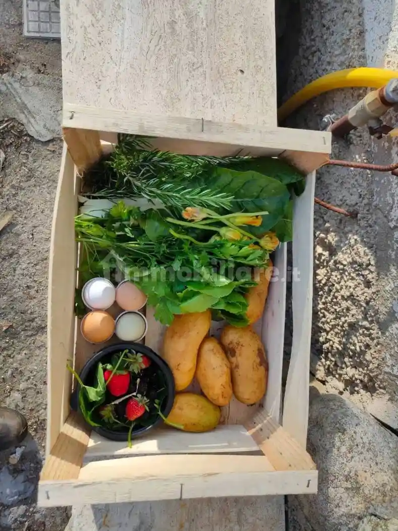 Villa unifamiliare Ortì Contrada Sant'Anna No Number, Ortì, Reggio Calabria - foto 4