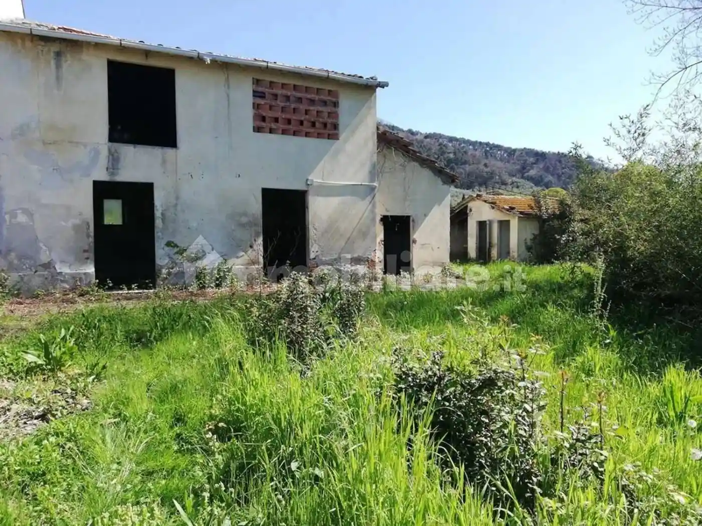 Rustico - Casale in vendita a Massarosa