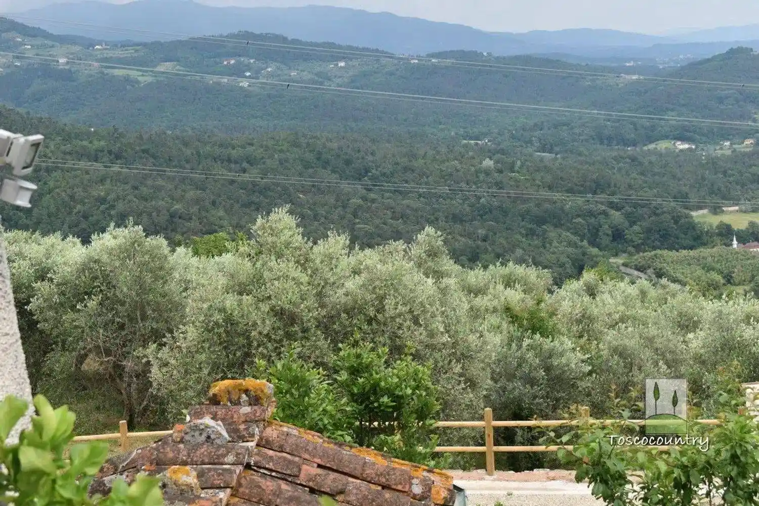 Cascina Farneta, Maggiano - San Macario, Lucca - foto 2