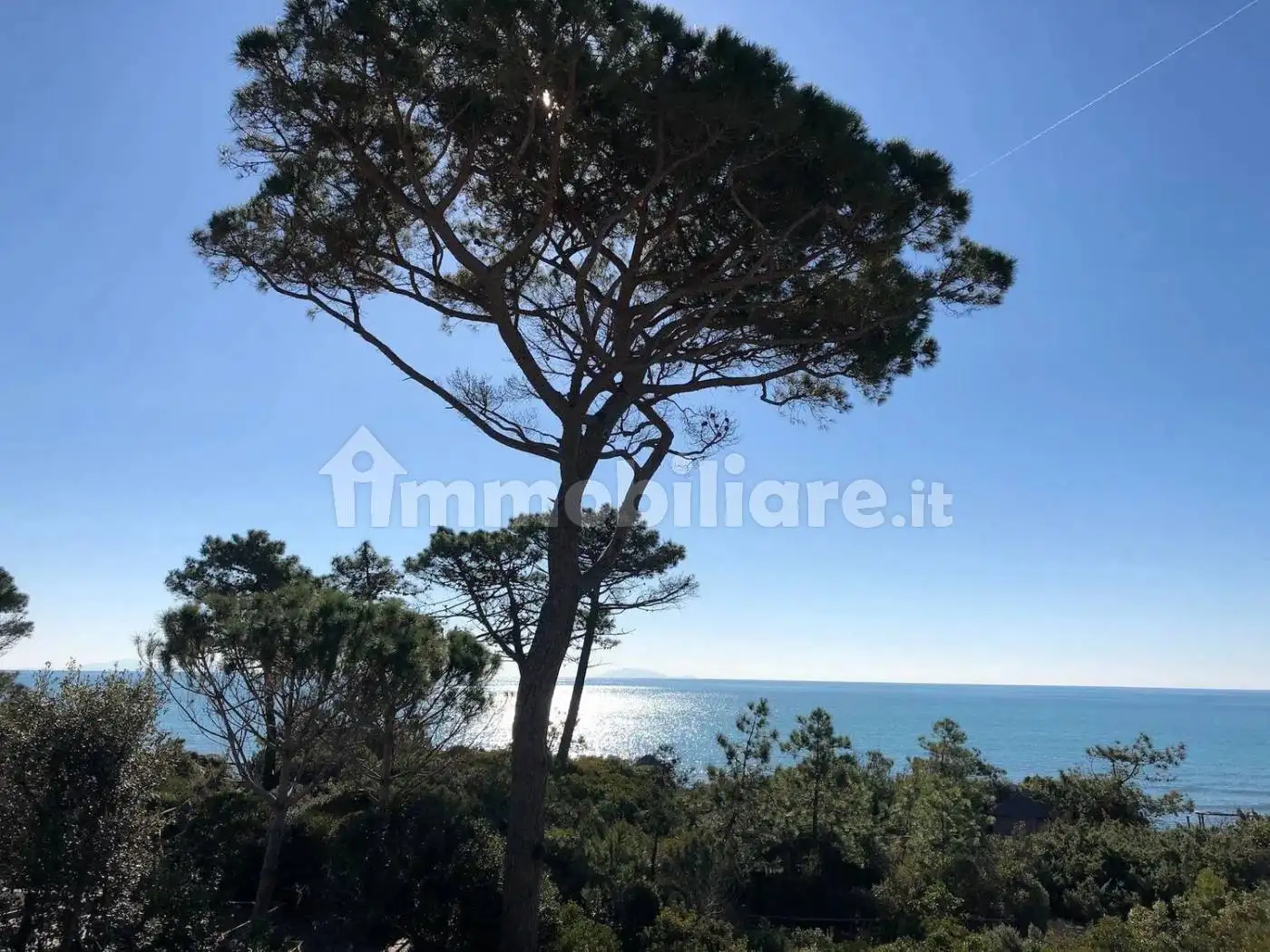 Villa in affitto a Castiglione della Pescaia