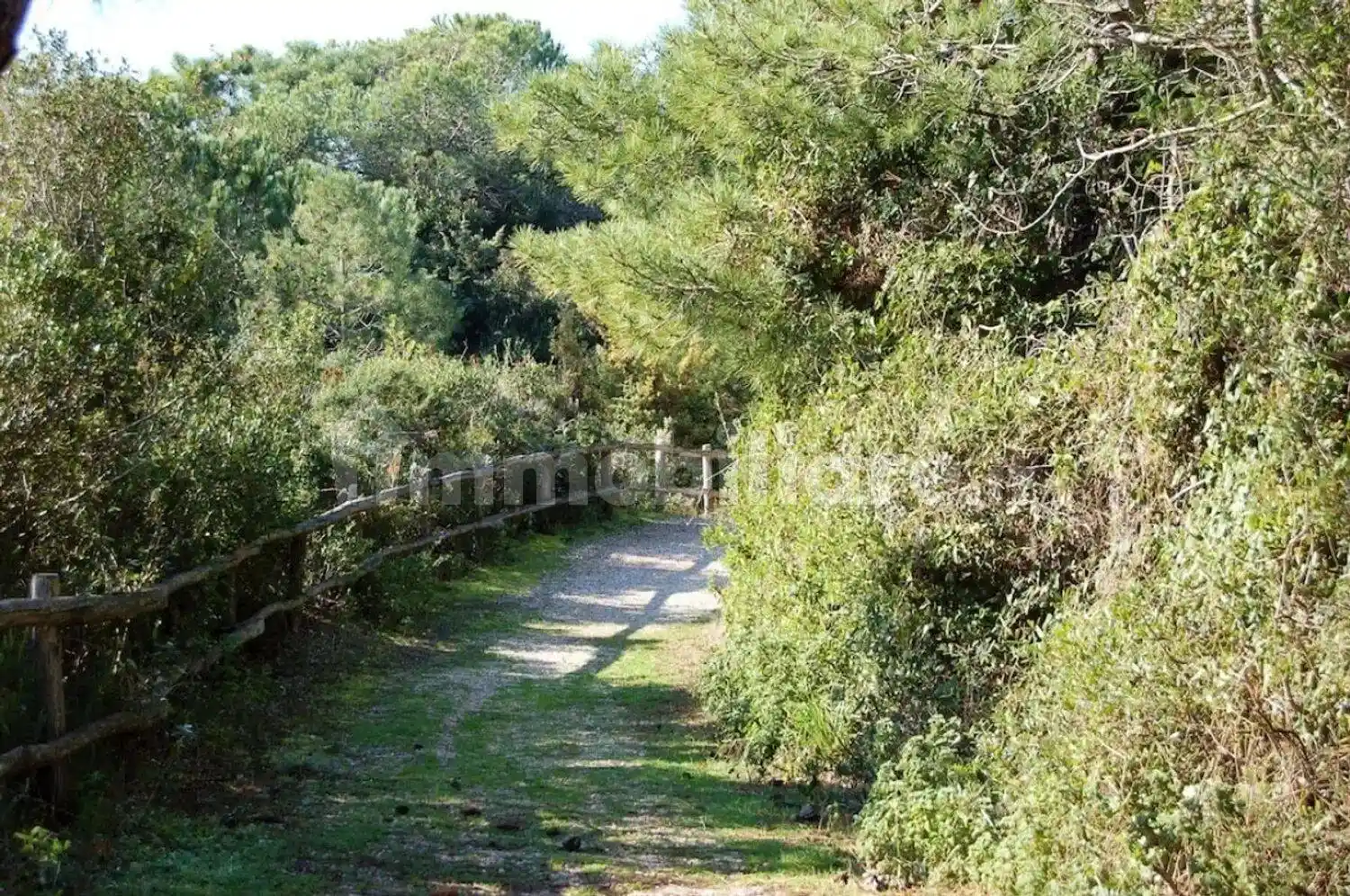 Villa unifamiliare Roccamare No Number, Rocchette, Roccamare, Riva del Sole, Castiglione della Pescaia - foto 3