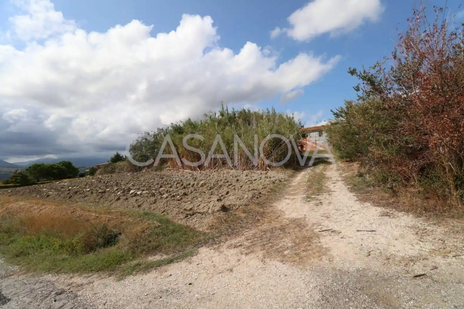 Casale via Villa De Luca, Bellante - foto 5