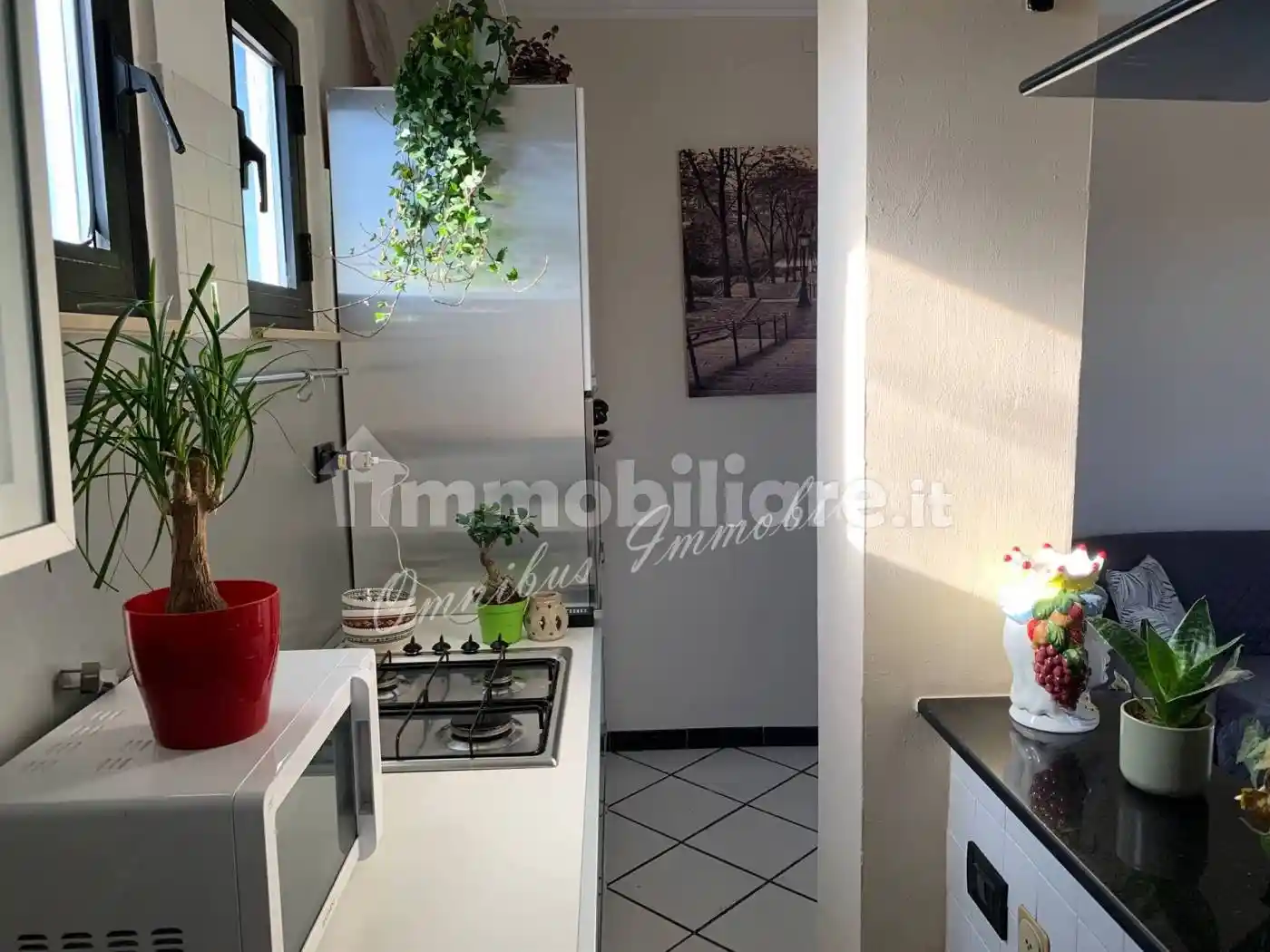 Appartamento in affitto a Foggia