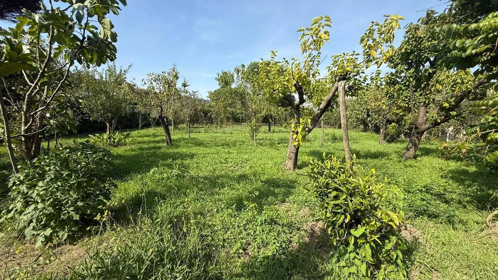 Villa unifamiliare via Provinciale 64, Contrada - foto 5