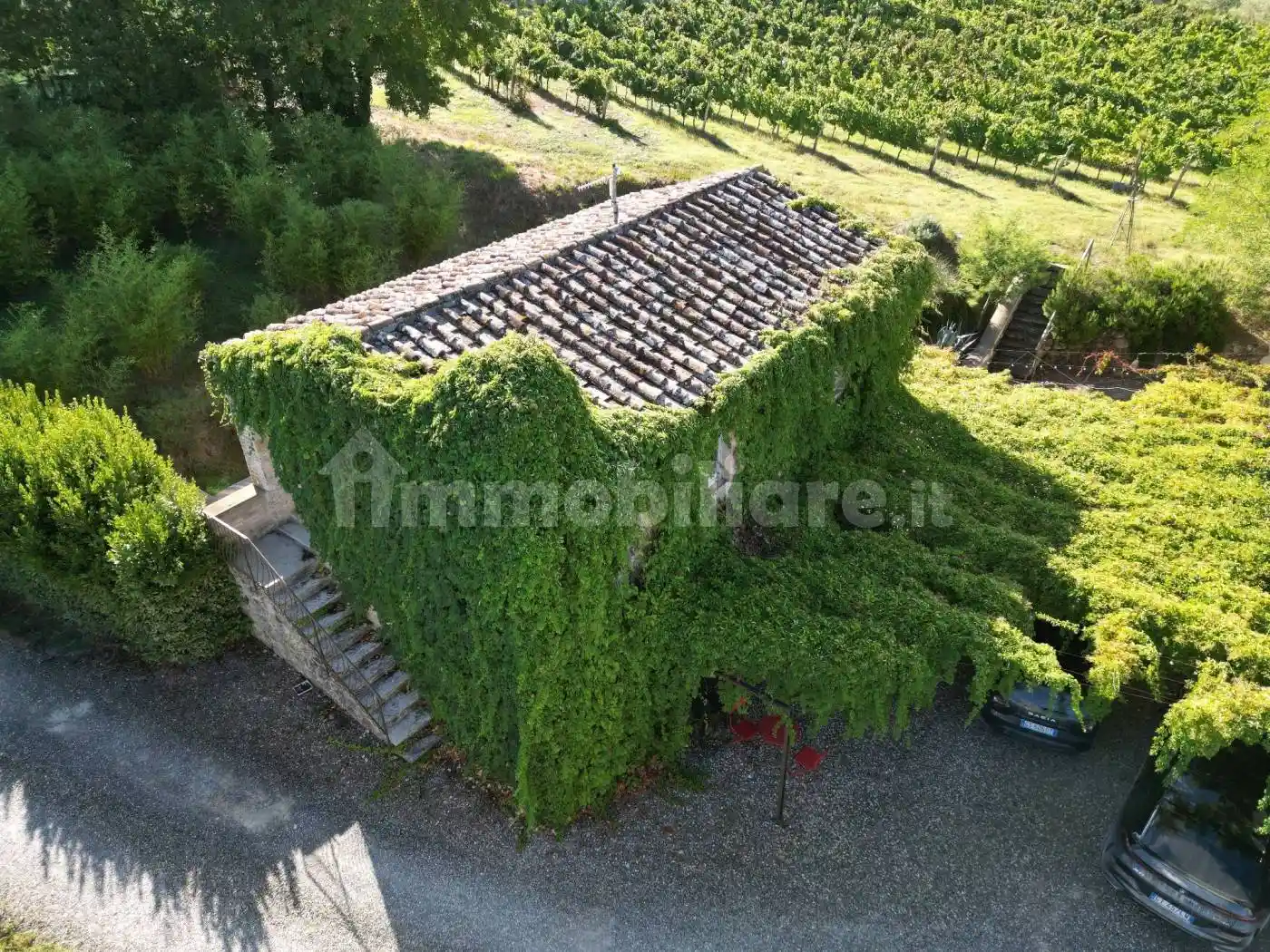 Casale Strada della Bufalaia, Quartaia, Pian dell'Olmino, Mensanello, Colle di Val d'Elsa - foto 4