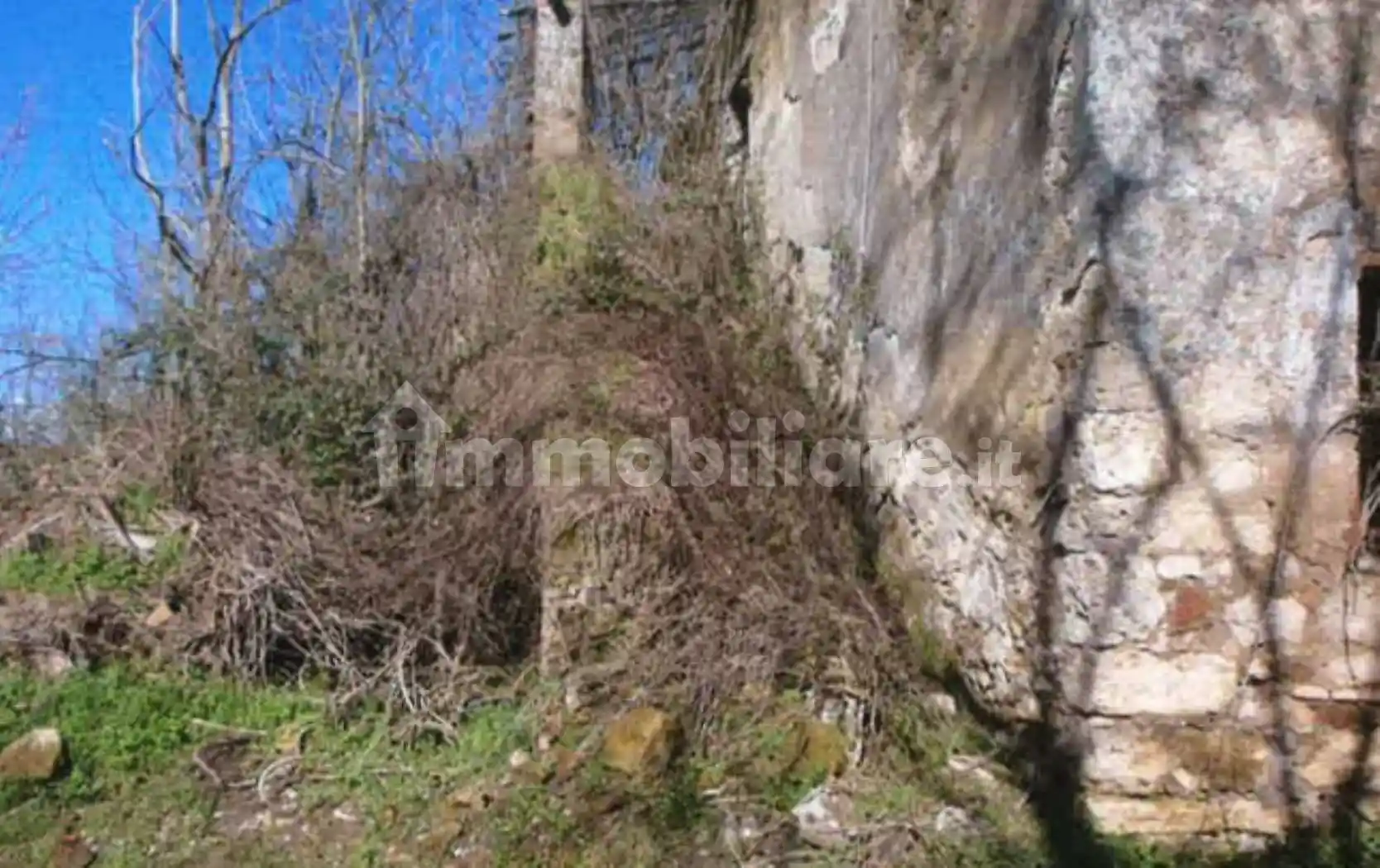 Rustico - casale all'asta Campo del Pero, Civitella d'Agliano - foto 4