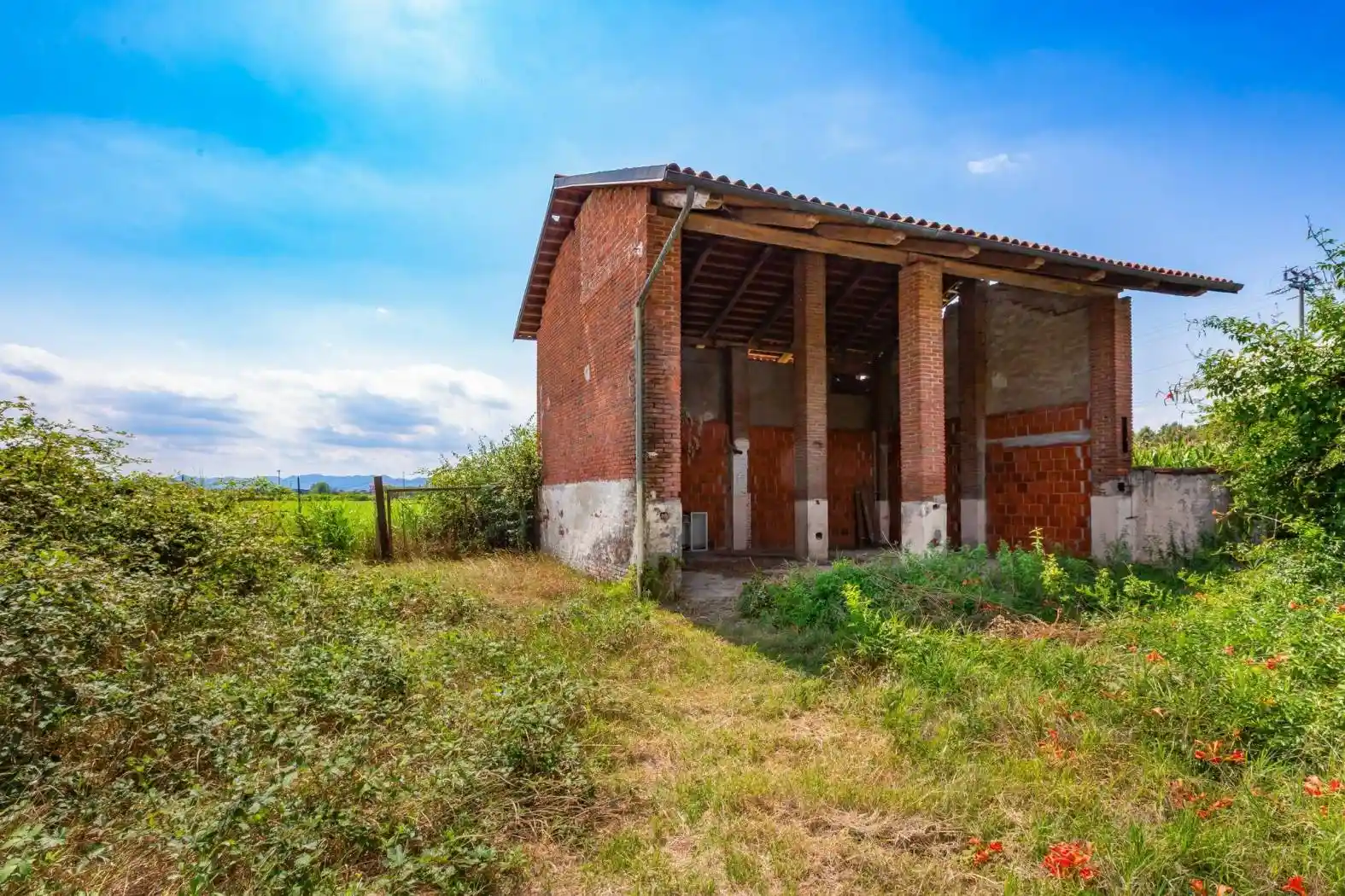 Rustico - Casale - foto 5