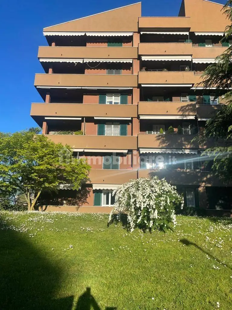 Appartamento in affitto a Buccinasco