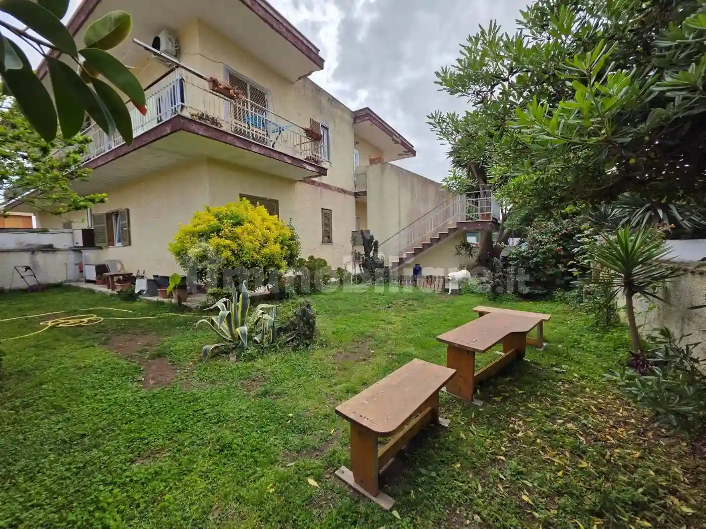 Palazzo - Edificio - foto 5