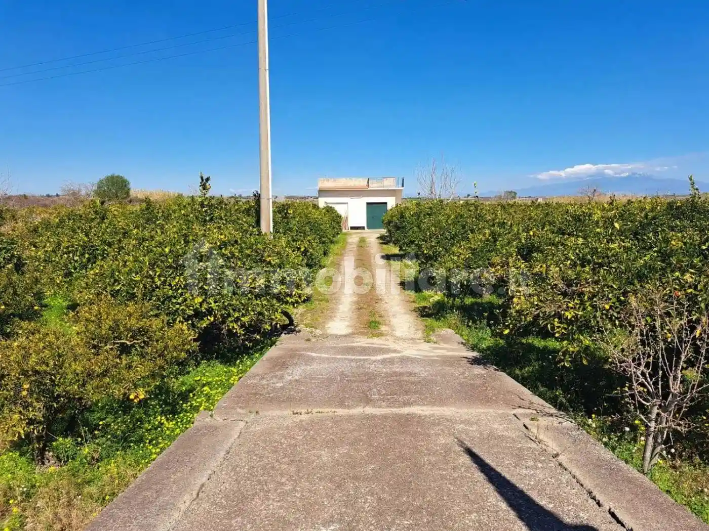 Villa in vendita a Francofonte