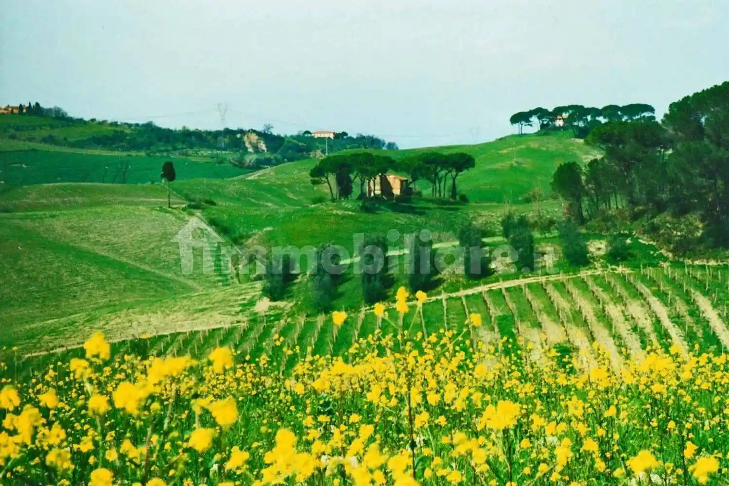 Rustico - Casale in vendita a Castelfiorentino