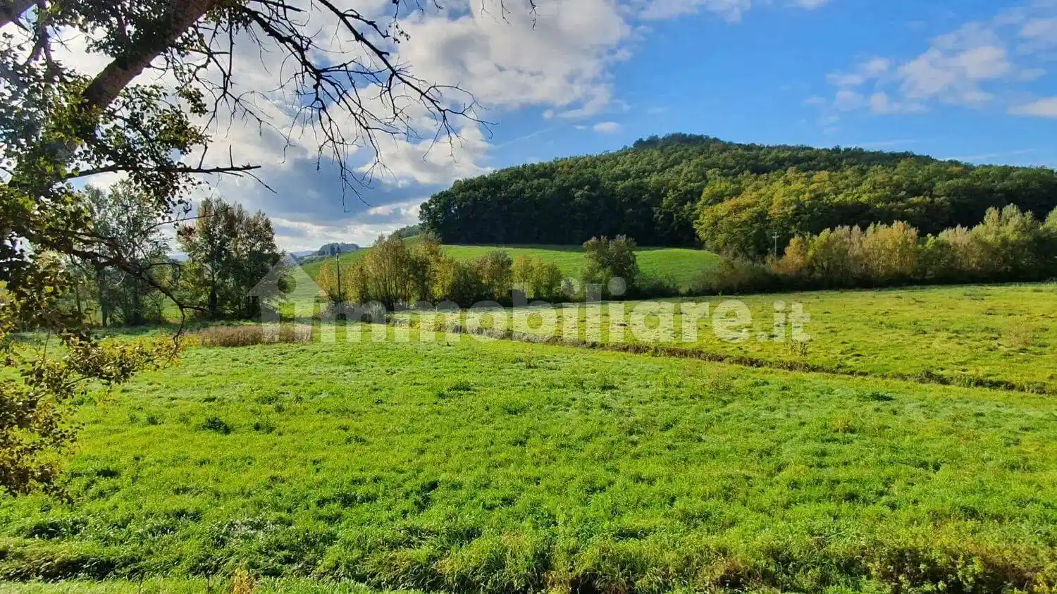 Villa in vendita a Castelfiorentino