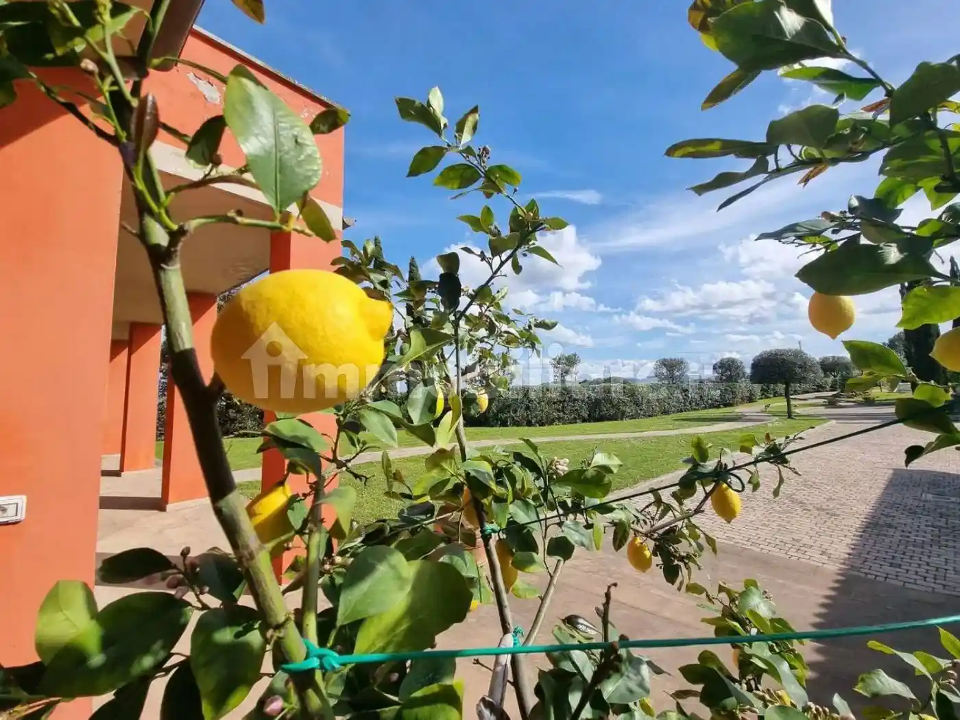 Villa in vendita a Castelfiorentino