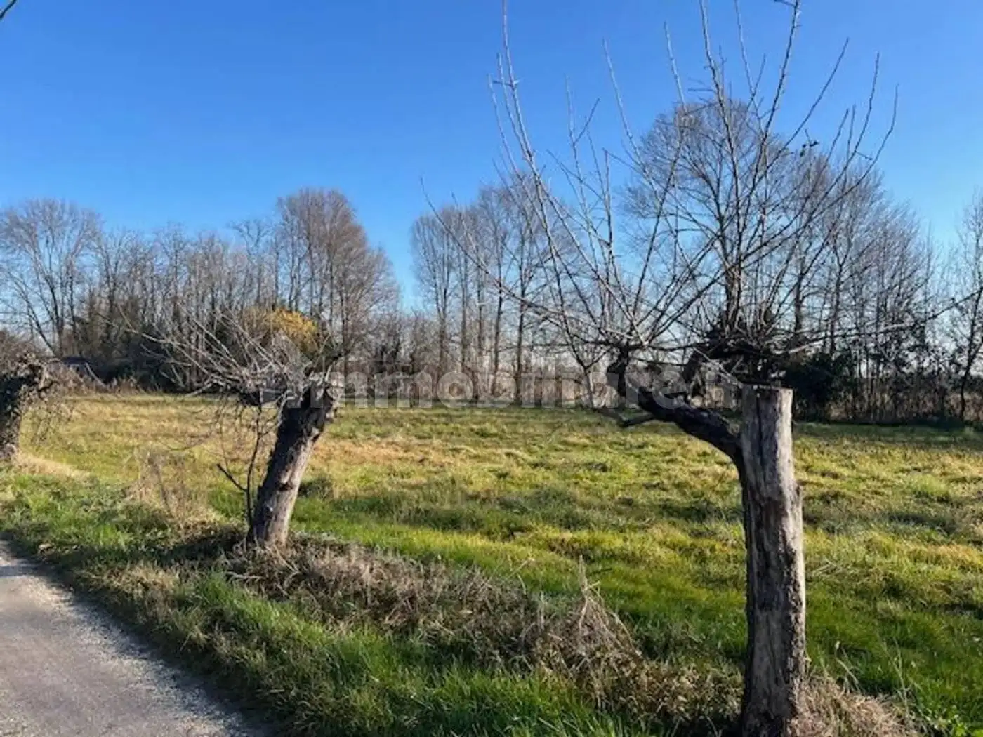 Rustico - Casale in vendita a Mogliano Veneto