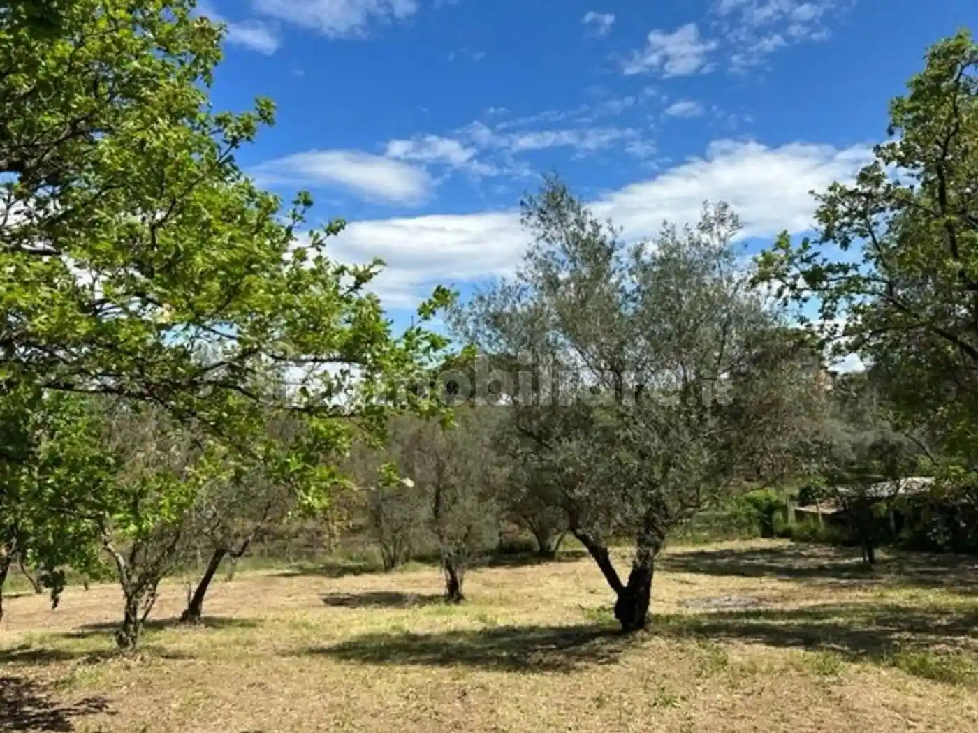 Rustico - Casale in vendita a Vetralla