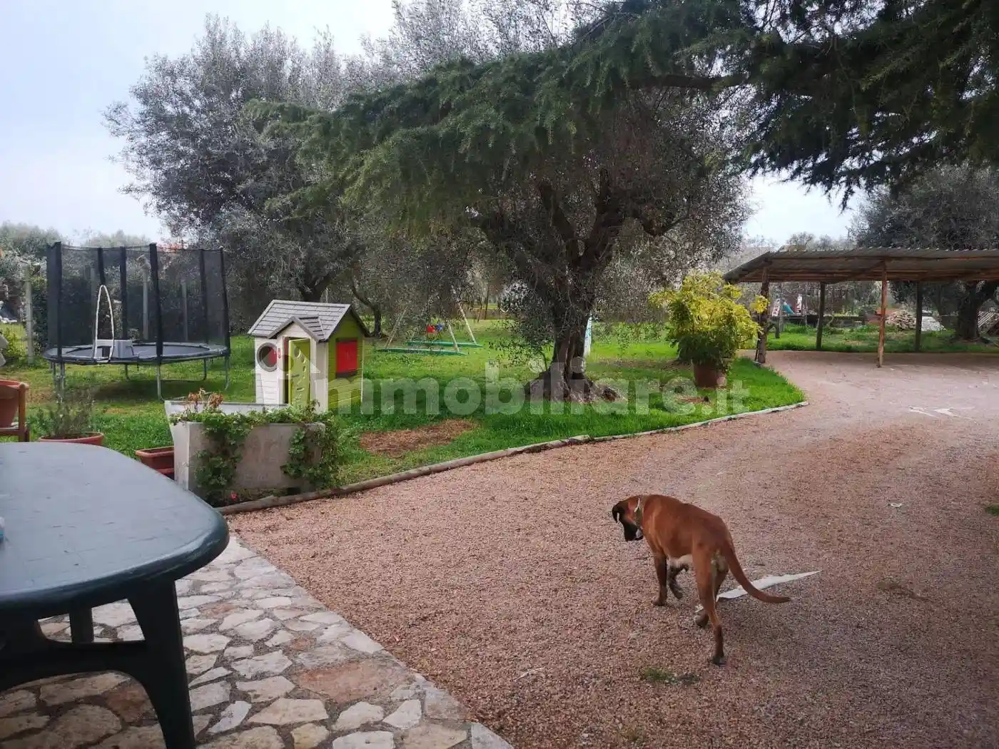 Appartamento in affitto a Montalto di Castro