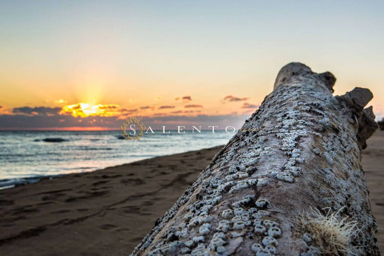 Villa unifamiliare Lungomare Cristoforo Colombo 65C, Leuca, Castrignano del Capo - foto 4