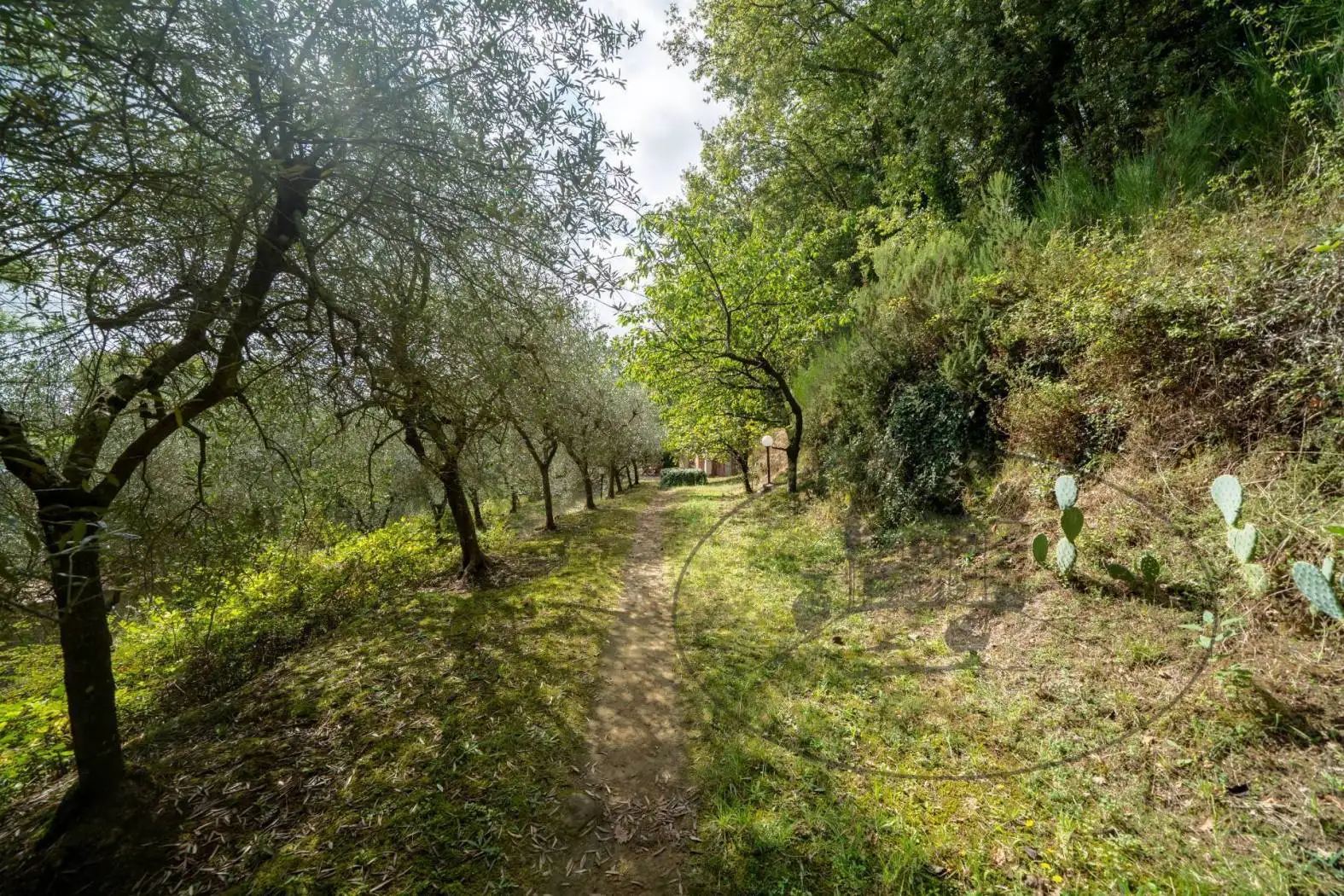 Casa indipendente in vendita a Figline e Incisa Valdarno