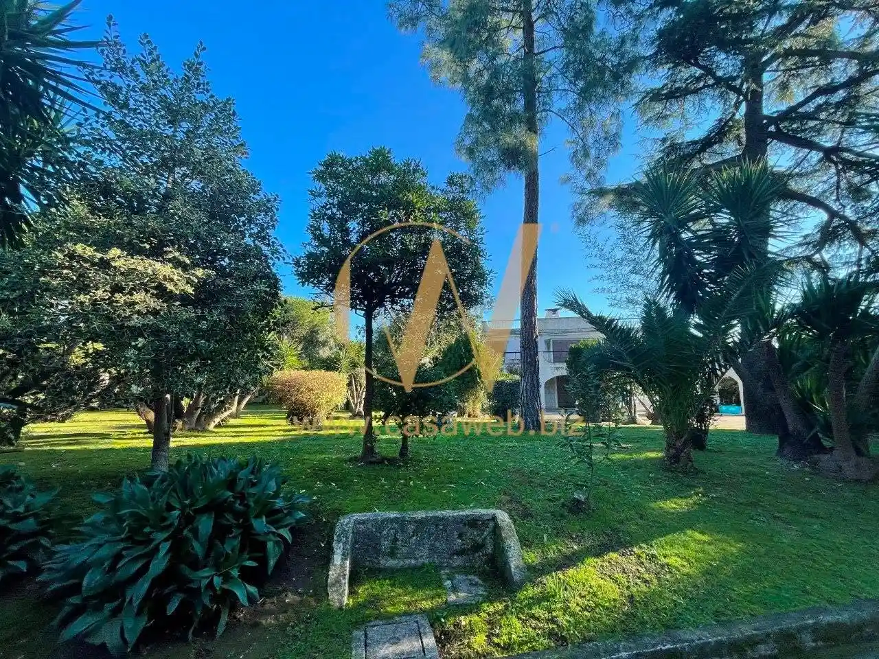 Villa unifamiliare viale Carlo III di Borbone 21, Acquaviva, Caserta - foto 3