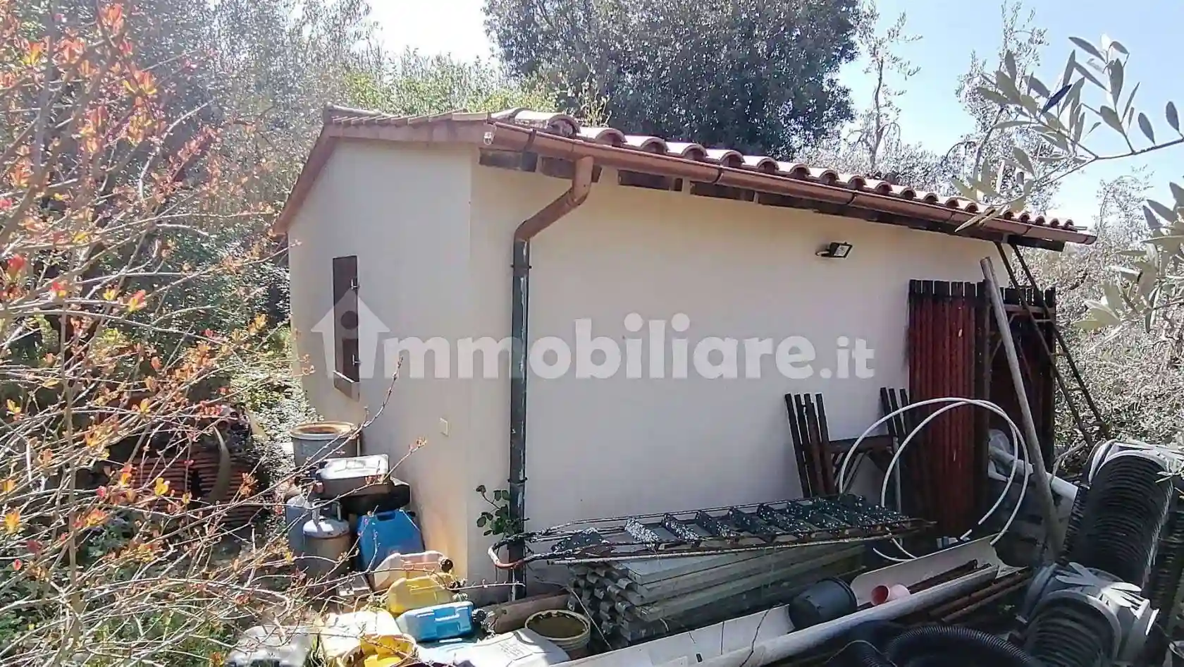 Rustico - Casale - foto 3