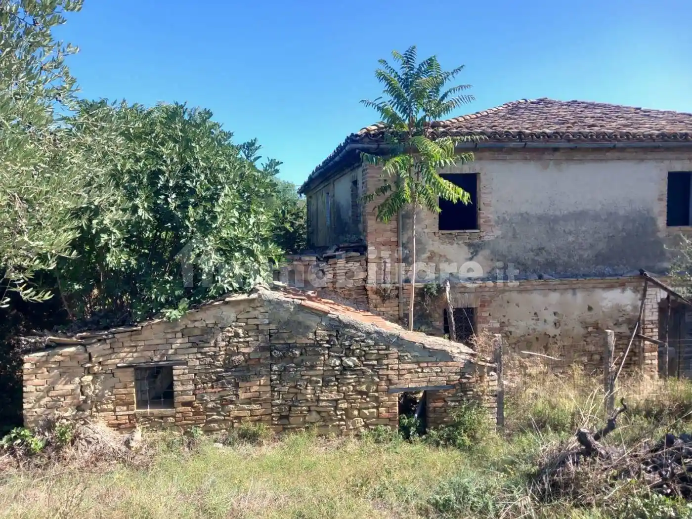 Rustico - Casale - foto 5