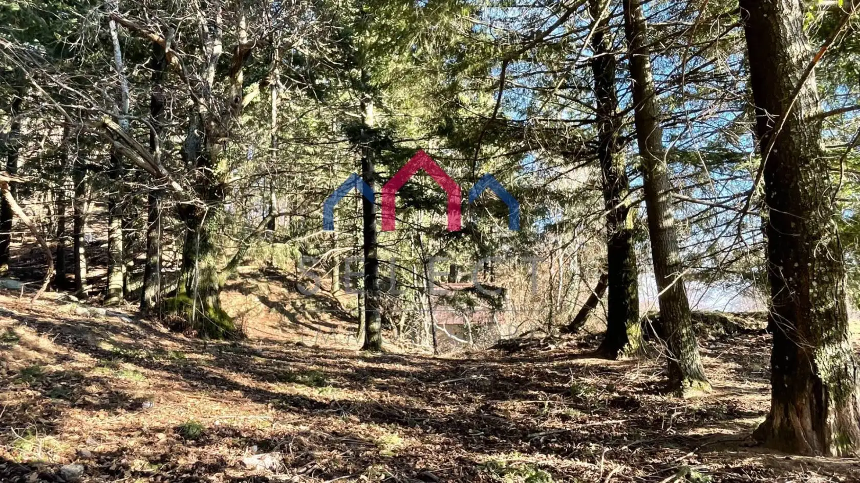 Rustico, da ristrutturare, 150 m², Fabbriche di Vergemoli - foto 4