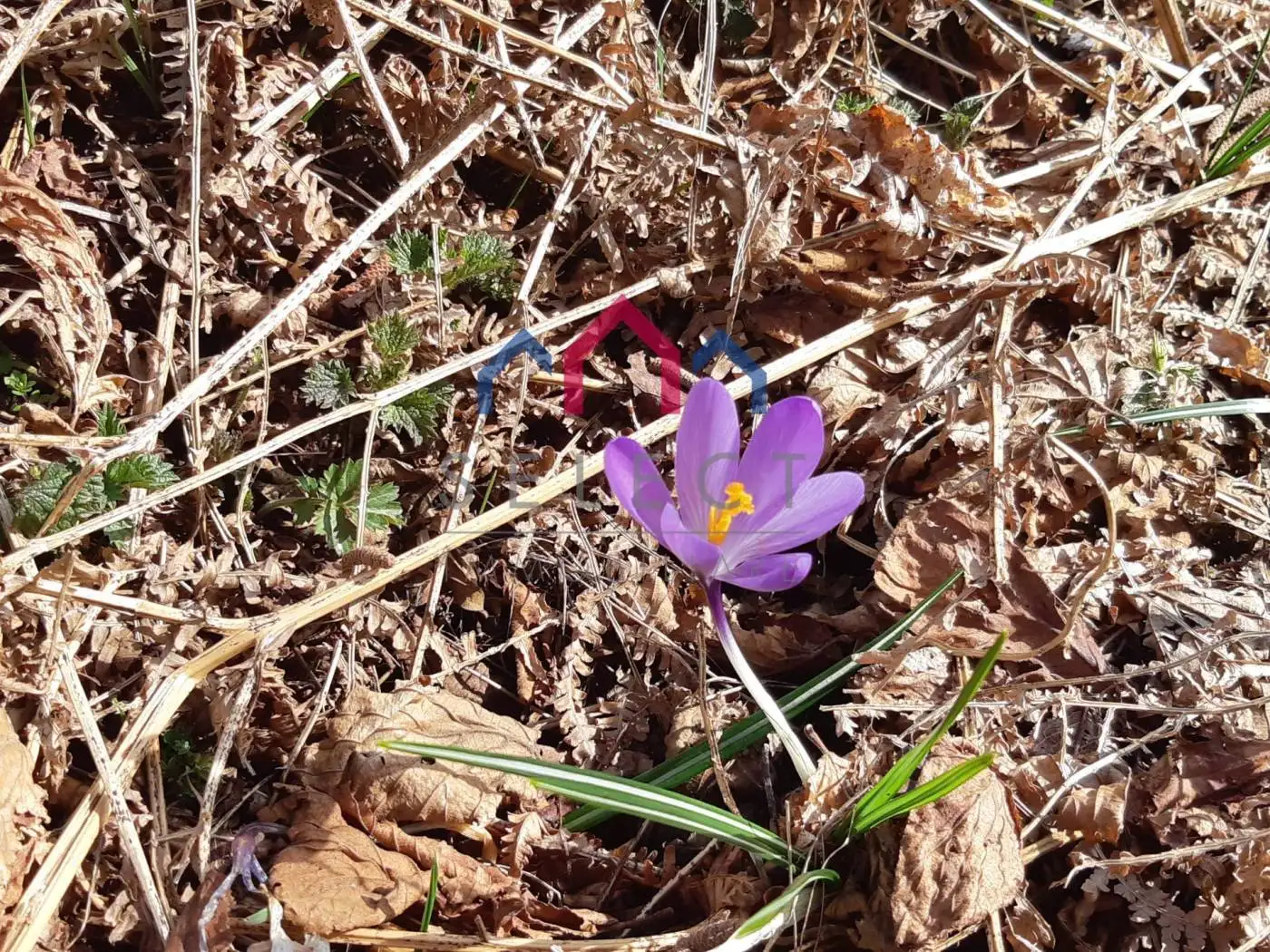 Rustico, da ristrutturare, 250 m², Fabbriche di Vergemoli - foto 2