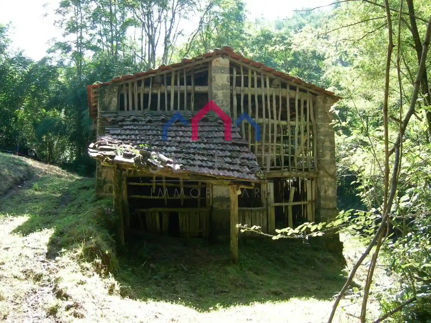 Rustico - Casale - foto 3