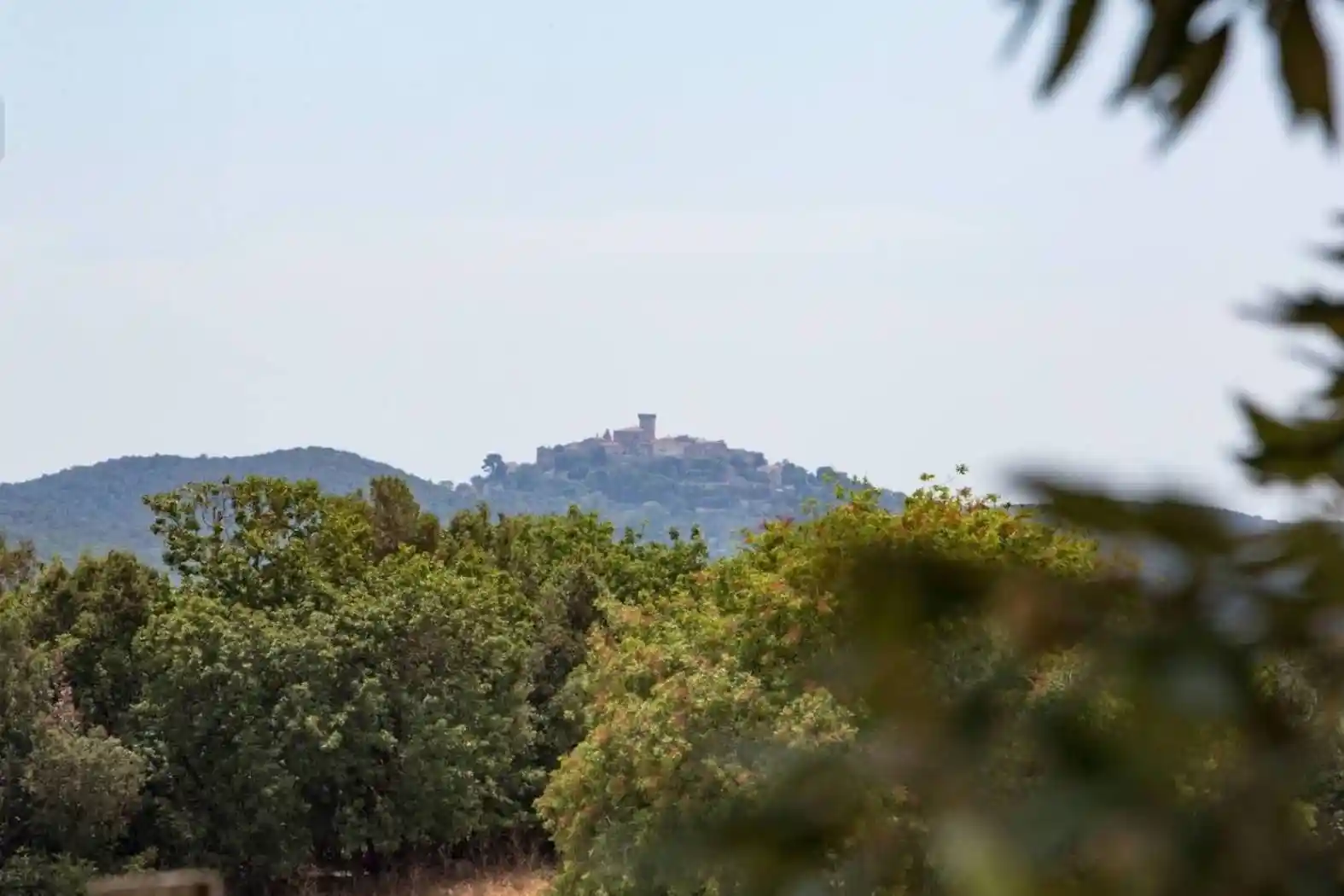 Villa in vendita a Capalbio