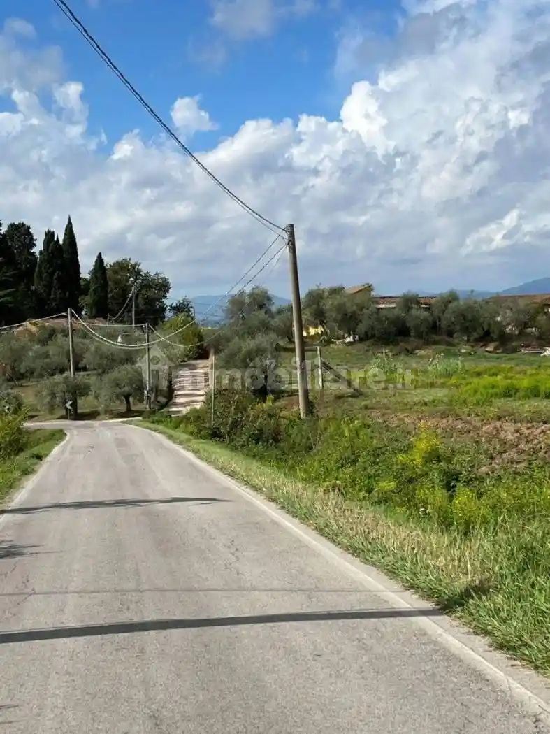 Rustico - Casale in vendita a Montecarlo