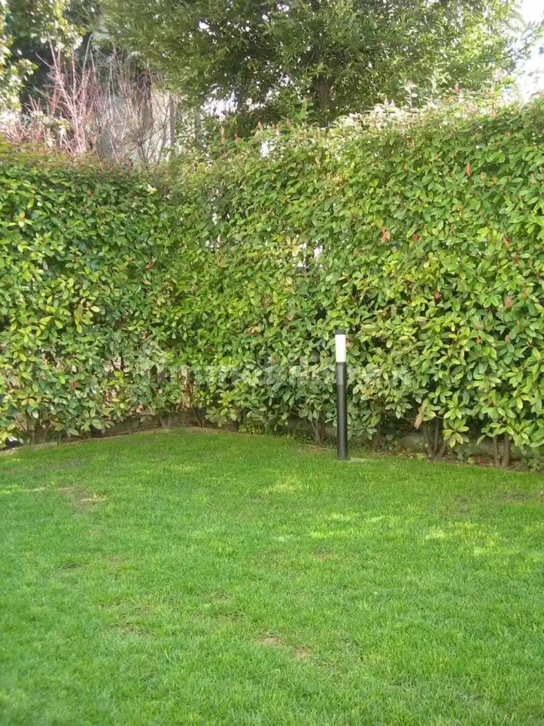 Villa unifamiliare via Cadorna, Città Giardino, Padova - foto 2