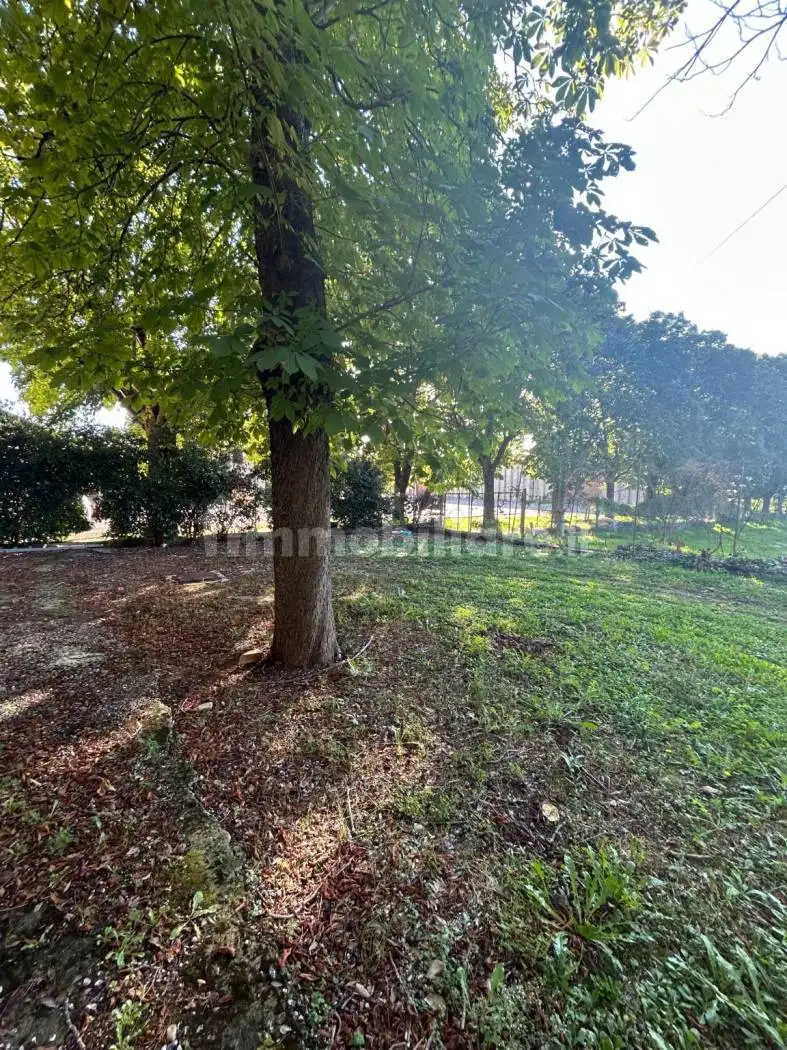 Palazzo - Edificio in Vendita - foto 2