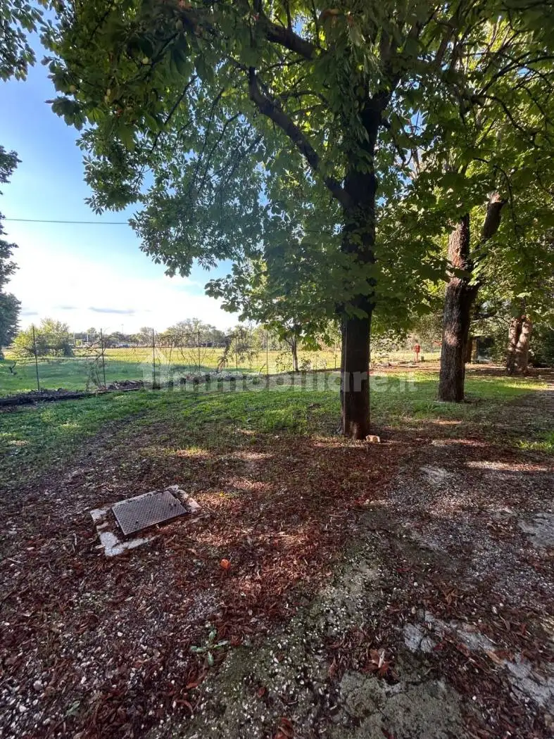 Palazzo - Edificio in Vendita - foto 4