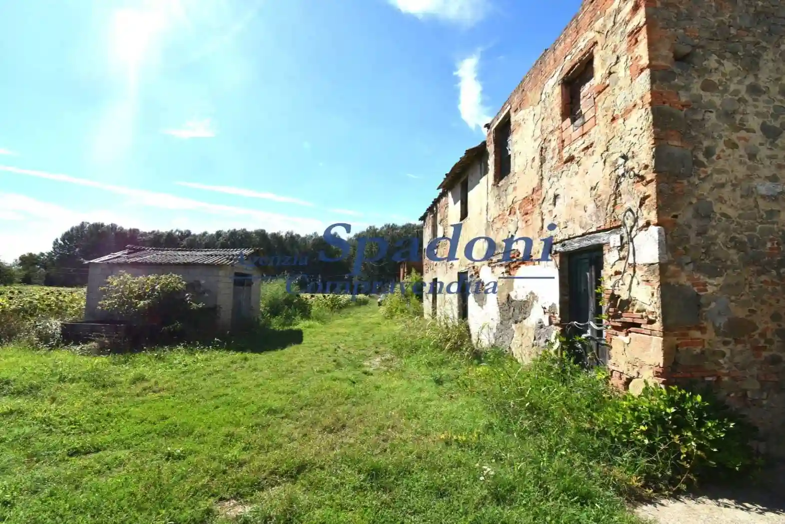 Rustico - Casale - foto 5