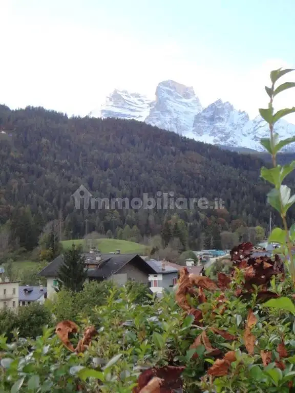 Appartamento in vendita a Vodo Cadore