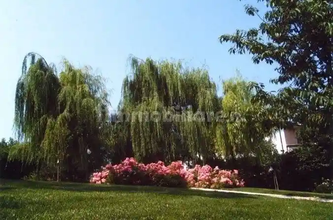 Villa unifamiliare via Aia Grande 19, Nibbiano, Alta Val Tidone - foto 3