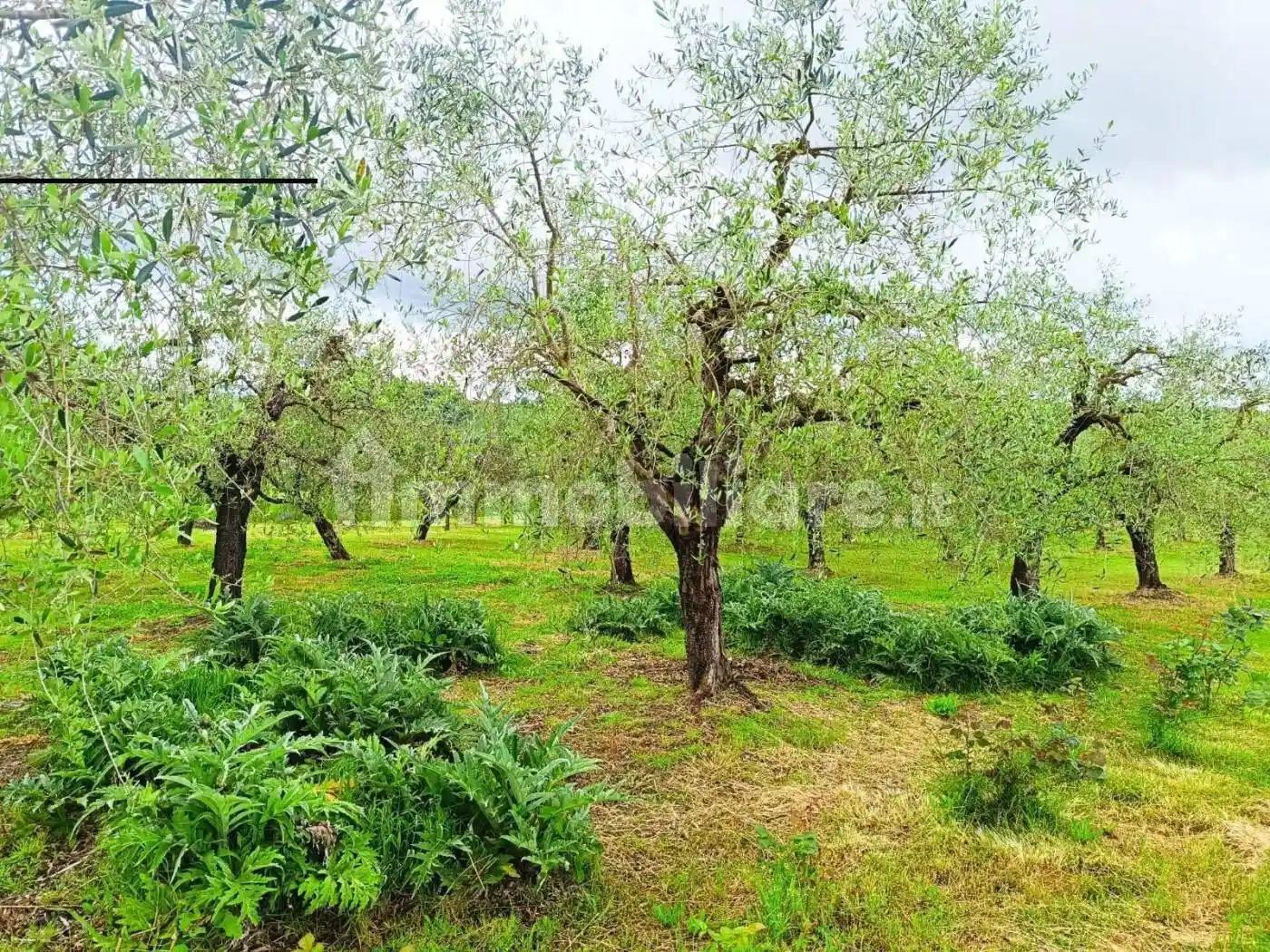 Villa a schiera Vocabolo Fiano 29, Montecastrilli - foto 2