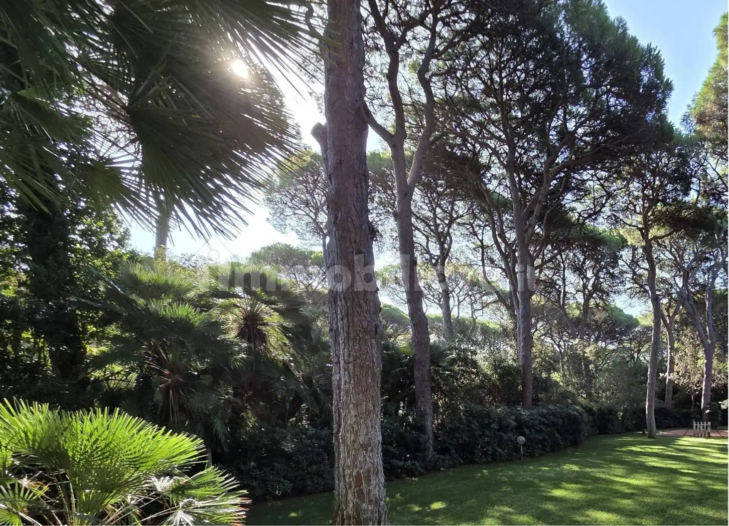 Villa in vendita a Castiglione della Pescaia