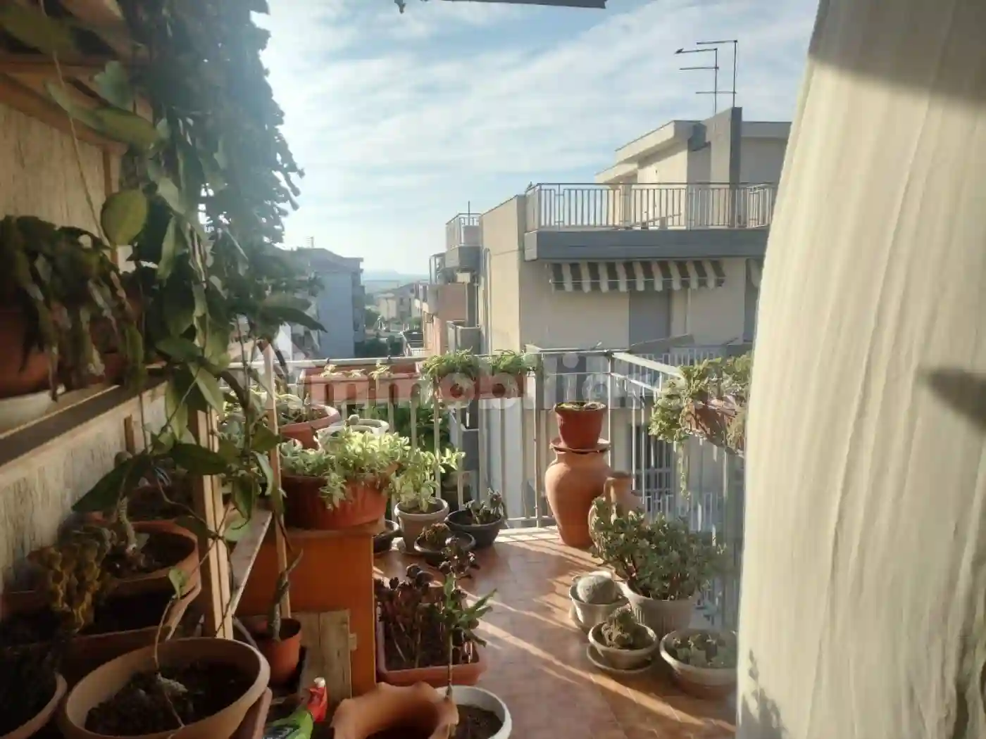 Palazzo - Edificio - foto 4