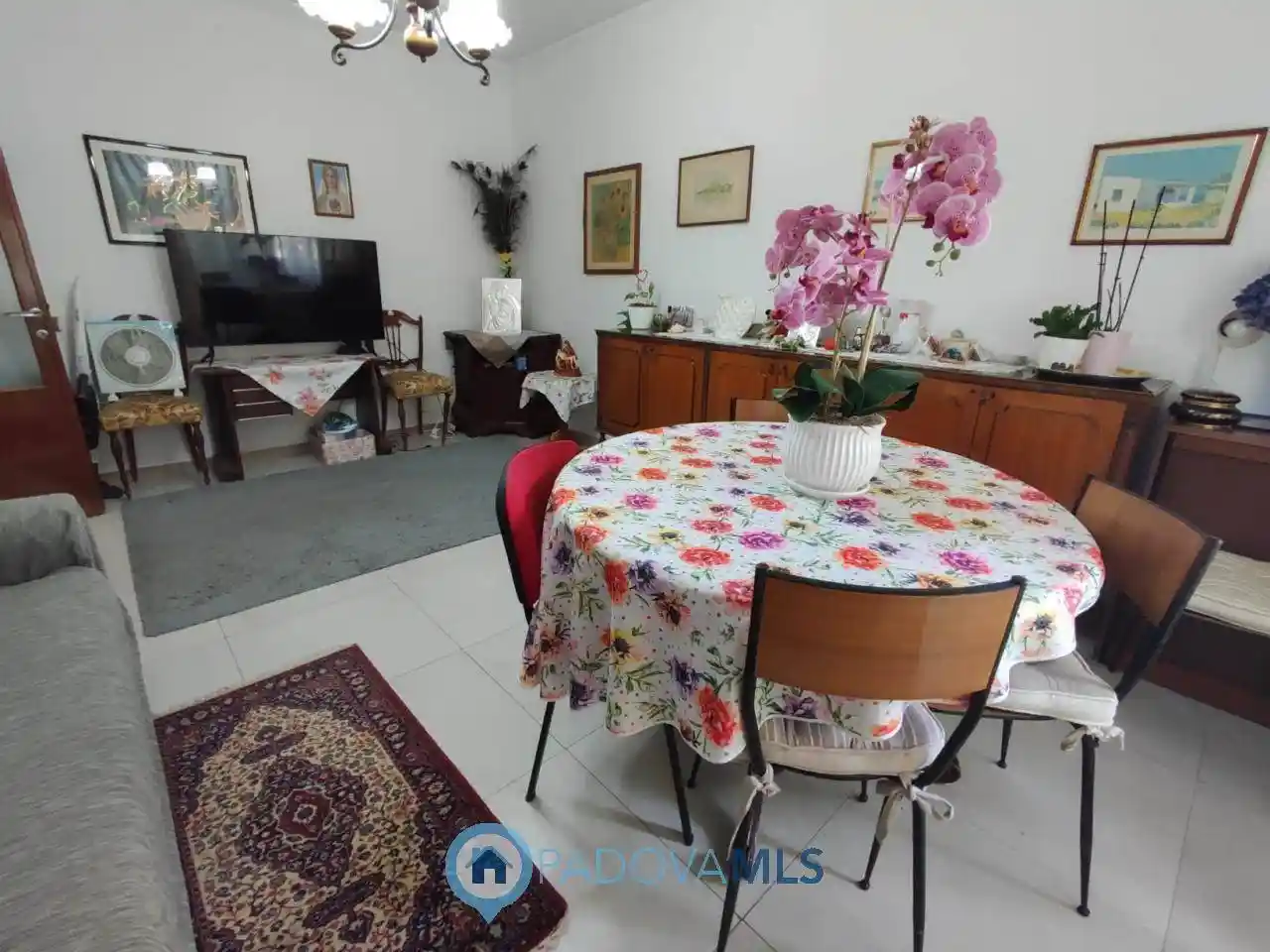 Appartamento ottimo stato, Forcellini, Padova - foto 3