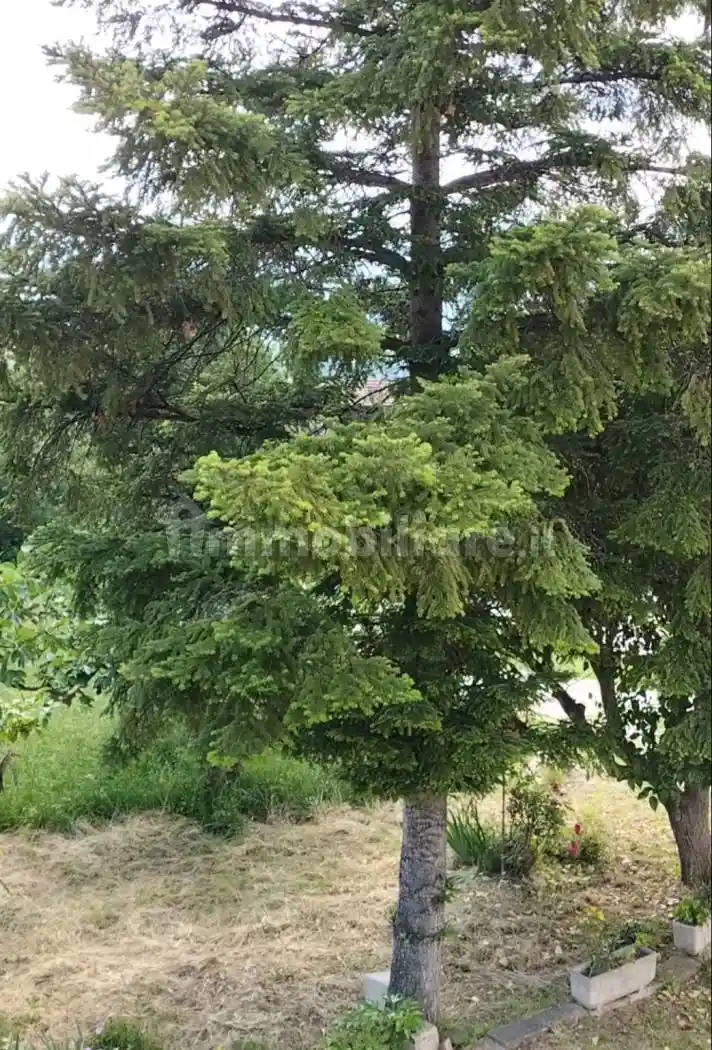 Villa unifamiliare Ss84, Centro, Casoli - foto 5